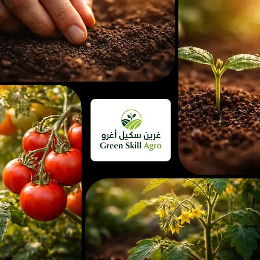 Seed lifecycle from sowing to harvest